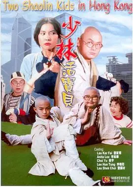 爆笑少林！揭秘《少林活宝贝》萌娃的功夫喜剧，让你笑出腹肌！