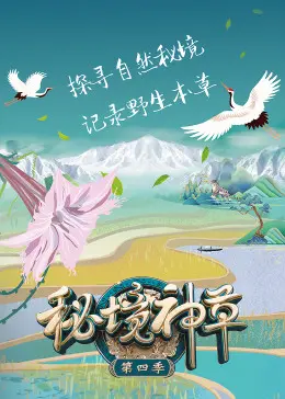 秘境神草 第四季 海报