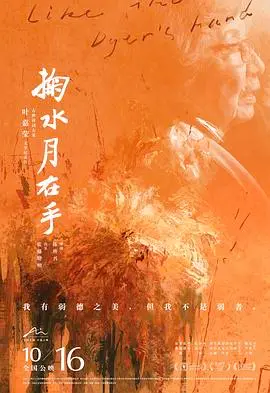 掬水月在手 海报
