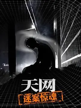天网：迷案惊魂 海报