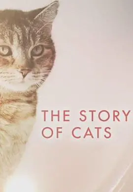 猫科动物的故事 海报